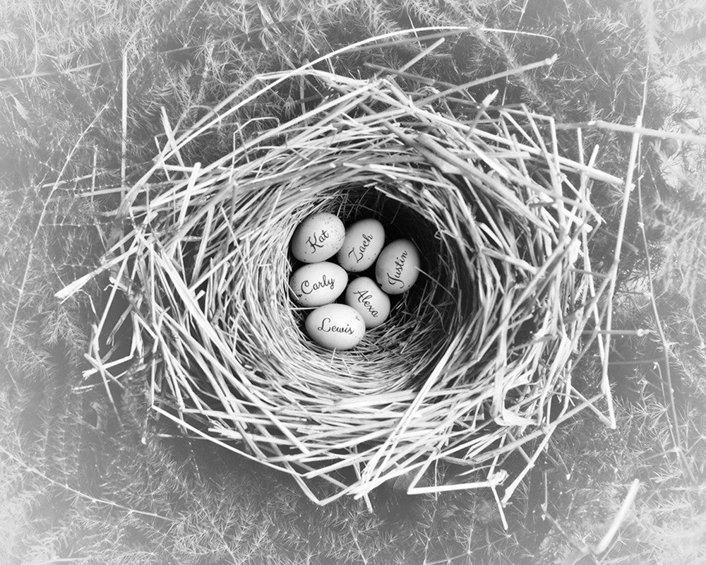 personalized eggs in nest print black and white
