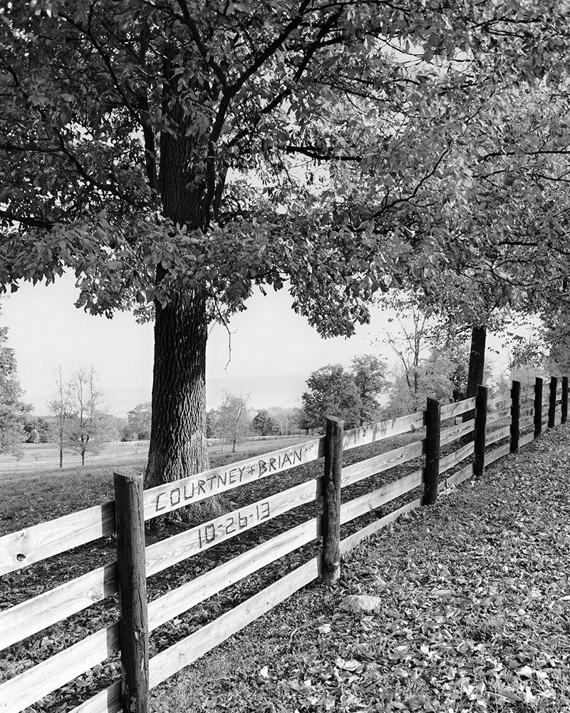 autumn fence personalized photo