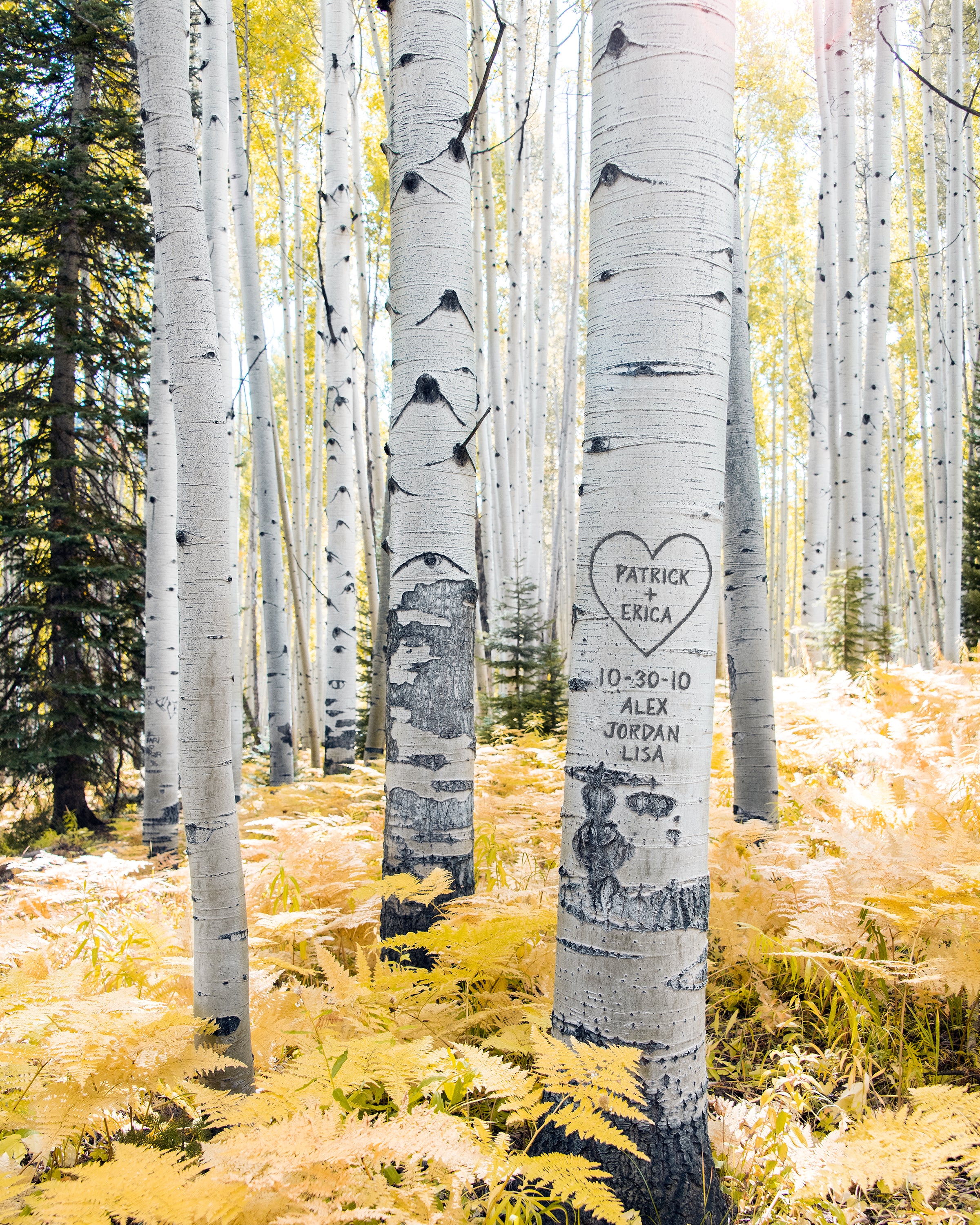 Personalized Nestled Aspen Wood Hearts - Standing Pines Ranch