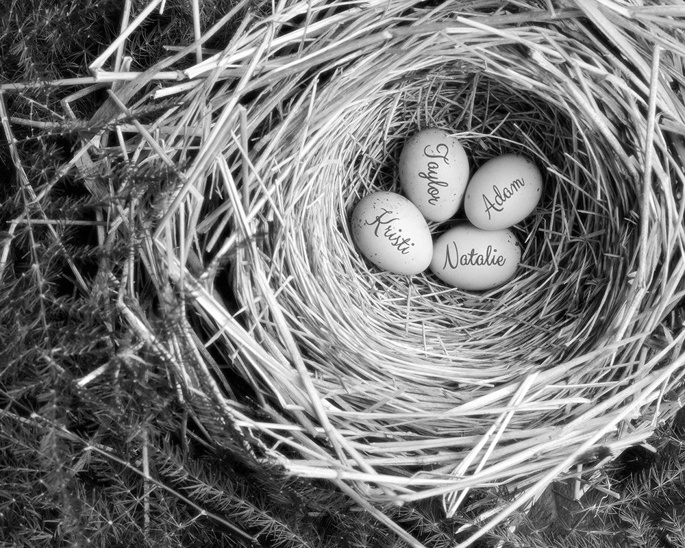 custom eggs in nest print