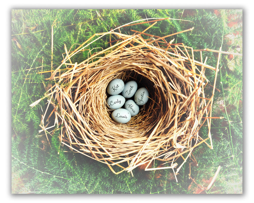 bird nest print