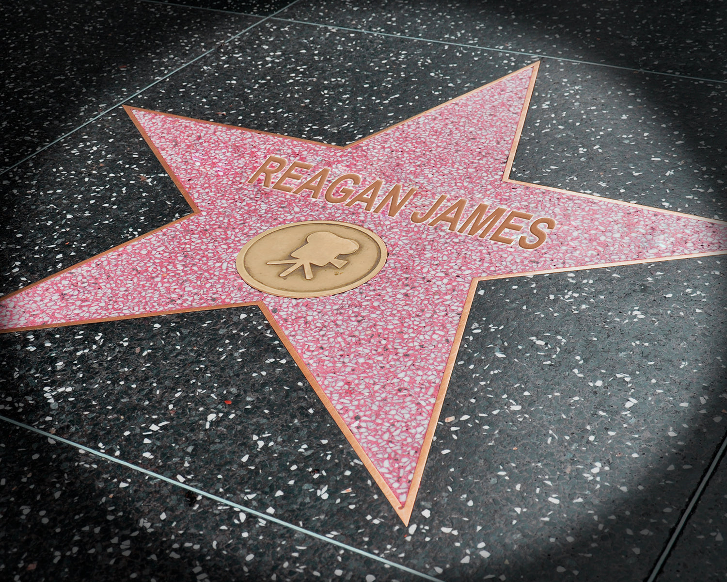 Printable Hollywood Star Walk Of Fame Personalized Hollywood Walk Of