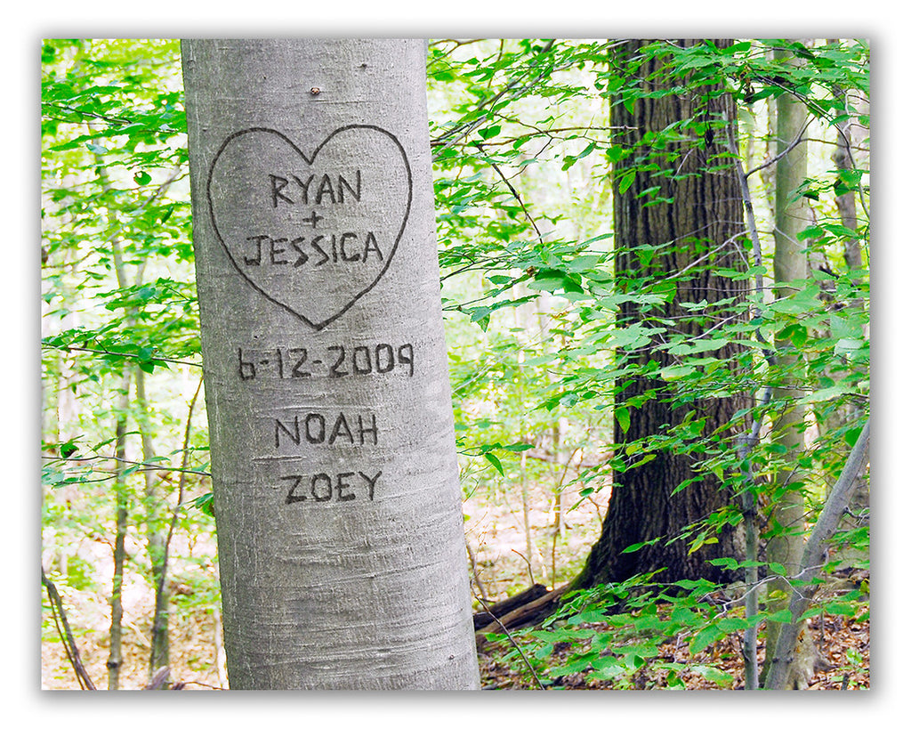 summer love tree personalized picture